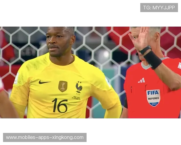 热刺迪奥普远射透网，全场爆炸的神奇一刻