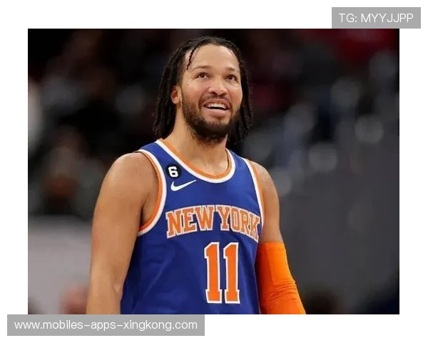 尼克斯硬仗专家